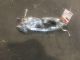 Toyota Hilux GUN126 4wd 05/15- onwards RF Door Exterior Handle (Smart Button) Type